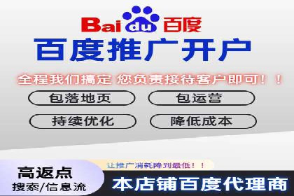 案例解析：SEM搜索引擎优化助力电商快速崛起